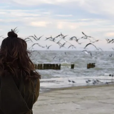 54° Nord 5 Apartment