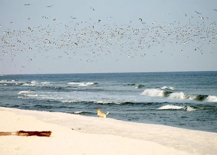 54° Nord 5 Apartamento Grömitz